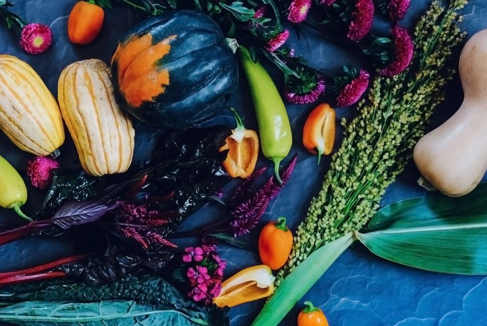 ella-olsson-1094090-unsplash-1